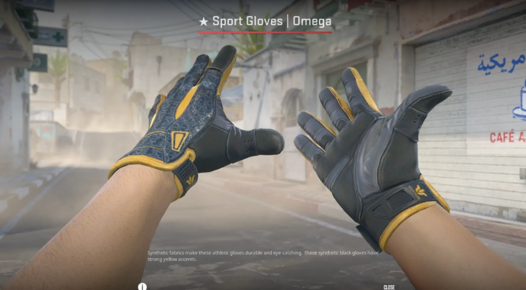Sport Gloves Omega